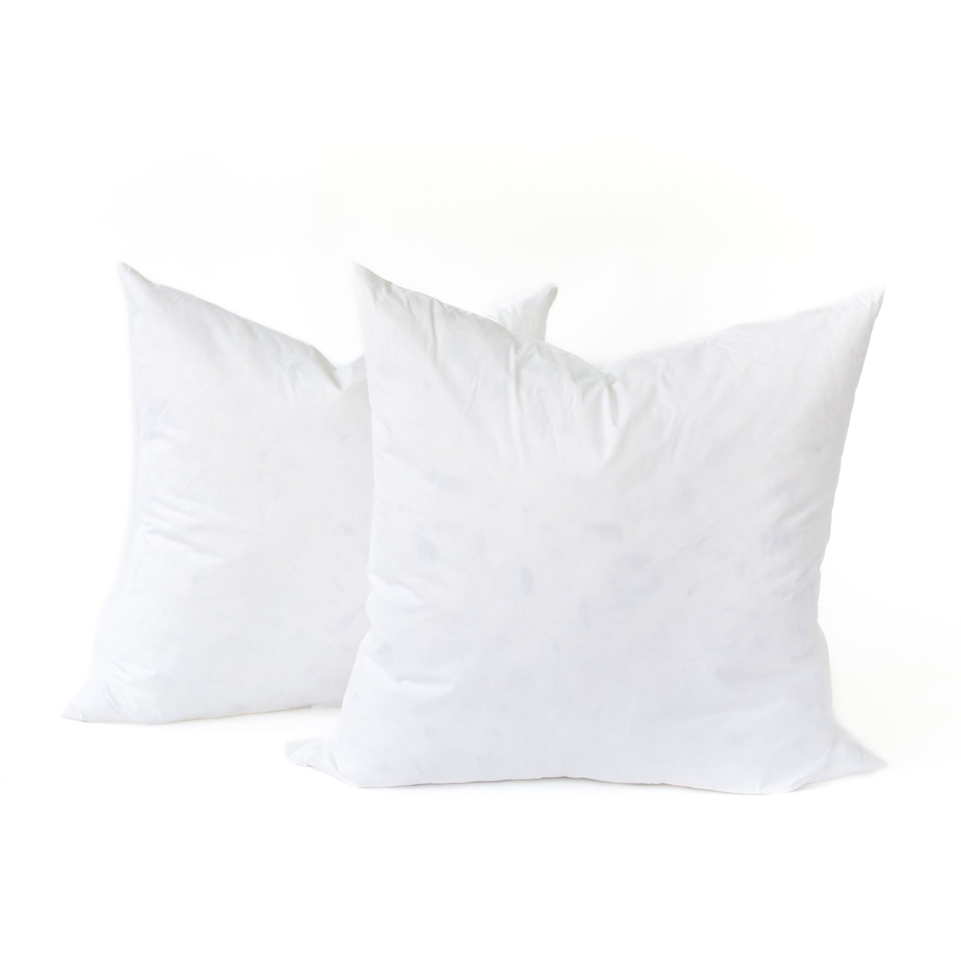 22x22 Goose Down Throw Pillow Inserts (Set of 2) - Maison Des Garçon