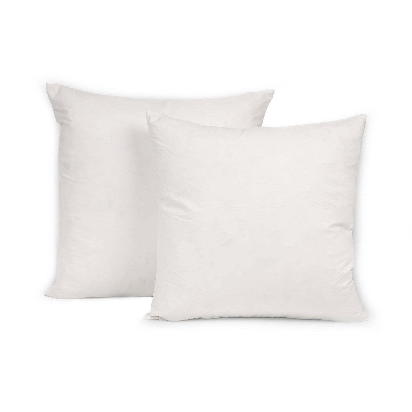 22x22 Goose Down Throw Pillow Inserts (Set of 2) - Maison Des Garçon