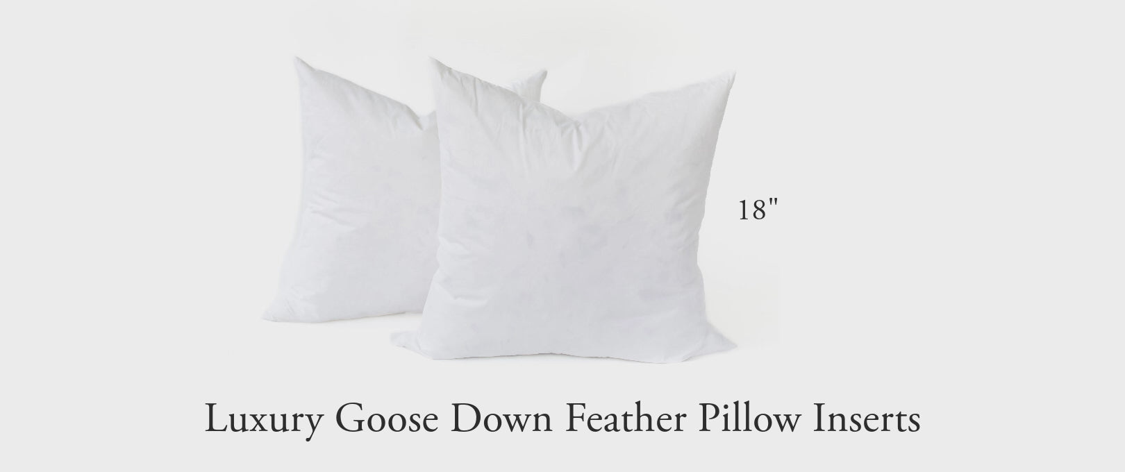 18x18 Goose Down Pillow Inserts Set of 2 Maison Des Garcon